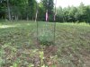 DSC04086.jpg