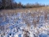 DSC00478.jpg
