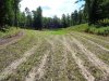 DSC04084.jpg