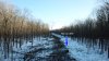 Rifle range perspective shot.jpg Rifle range perspective shot.jpg