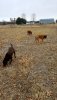 20180402_150924.jpg