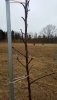 20180402_150712.jpg