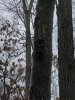 F9B4924E-00A8-4873-B112-04FA4DCD3887.jpeg