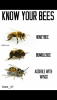 CB7B6E33-9780-486F-BDA0-5FA3A843496C.png