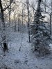 DA216EF6-4753-4F1A-BD24-87B606E60D16.jpeg