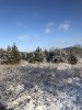 7F2377F8-8718-47AA-AEF9-CC06A2559AC2.jpeg