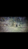 1D865DBC-C0B4-456E-A8A0-46ACD9BEB062.png