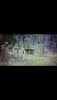 36E7CD1C-4829-4AE6-866F-15ADA4FD4C31.png