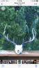 7B7C954E-77FC-43EF-8ED0-C640E7ED52FD.png