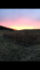 DCDB84AD-89B5-43A4-931B-B61DD979D1D6.png