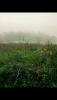 98C2F57C-DEA9-4ABF-9125-40C302B45A99.png