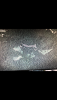 F8F681FA-603C-4B9E-B3CF-0EBE696D4079.png