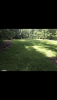 EE013AD9-12E1-4C63-805D-82926C7958FC.png