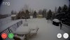 spring snow.jpg