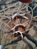 3 sheds.jpg