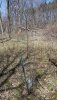 20180419_142108.jpg
