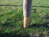 DSC02773.jpg
