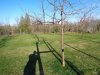 DSC02779.jpg DSC02779.jpg