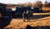 M1A1.jpg