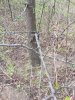 IMG_0319.JPG