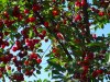 DSC01917.jpg