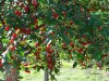 DSC01925.jpg