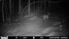 HUNT0032.JPG