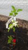 20180506_100515_resized.jpg