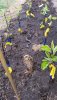 20180506_100612_resized.jpg
