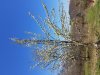 20180430_132215.jpeg