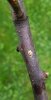 20180513_161748.jpg