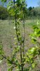 20180515_143221.jpg