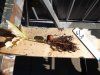 DSC04026.jpg