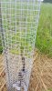 20180522_161139.jpg