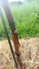20180523_181548.jpg