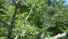 20180523_155546.jpg