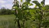 20180523_155453.jpg
