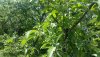 20180523_155422.jpg