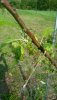20180524_082238.jpg