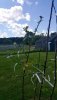 20180531_155052.jpg