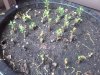 20180531_093341.jpg