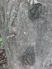 20180603_122631.jpg