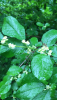 6282CE0D-A7FF-483E-8B58-2102BC78C5DC.png