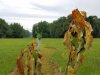 20180606_093209.jpg 20180606_093209.jpg