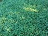 20180606_075340_Burst01.jpg