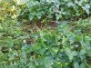 20180606_075630_Burst01.jpg