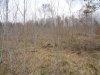 DSC03594.jpg