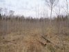 DSC03595.jpg