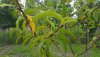 20180610_174621.jpg