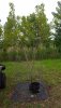 20180610_174557.jpg